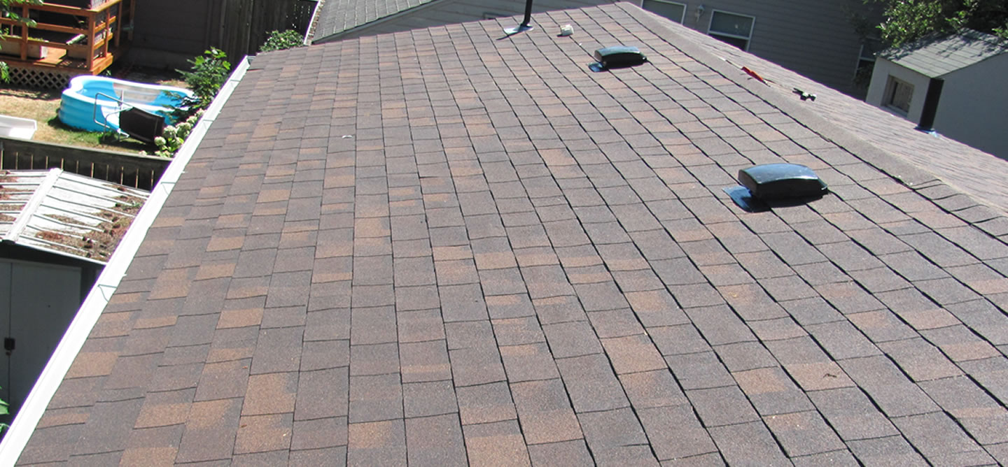 Professional Roofing Installation